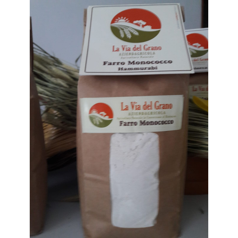 Vendita online di Farina di Farro Siciliano Tipo Monococco Vendita online di Farina di Farro Siciliano Tipo Monococco