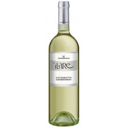 White Wine Catarratto Chardonnay IGP Bottle of 75cl - Wine...