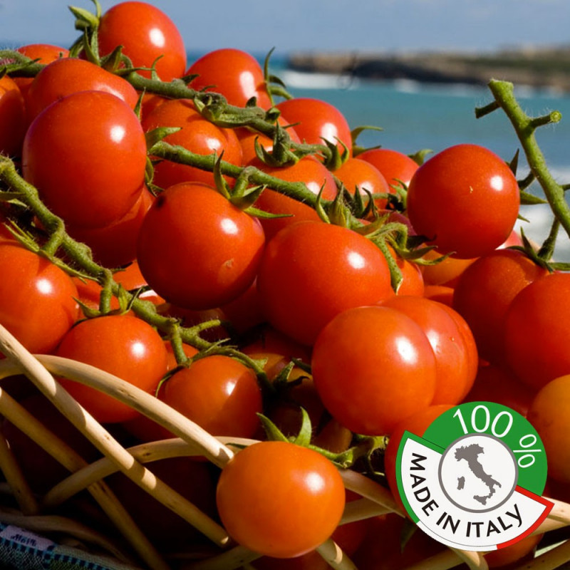 vendita on line 33cl Salsa ciliegino pomodoro IGP - pronta da mangiare vendita on line 33cl Salsa ciliegino pomodoro IGP - pronta da mangiare