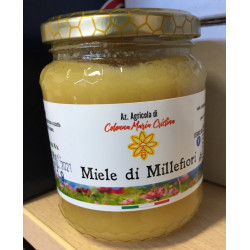 copy of THOUSAND FLOWER HONEY 250gr