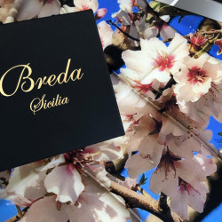 Silk satin Foulard "Mandorlo in fiore" Breda Collection