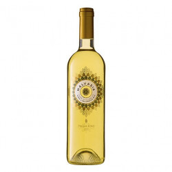 Malvasia BIO Vino Liquoroso Pellegrino 75cl