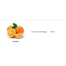 Miele di Arancio Siciliano Biologico 250 gr