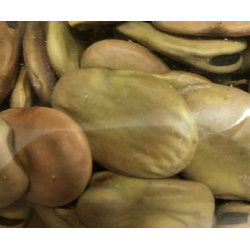 Fava Larga Intera Tipo Leonforte 400gr - La Riserva del Re