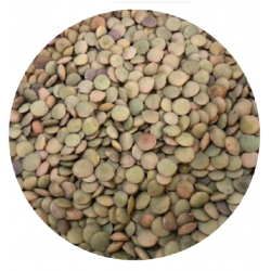 Villalba Lentil - 400gr from natural and controlled agriculture - La Riserva del Re