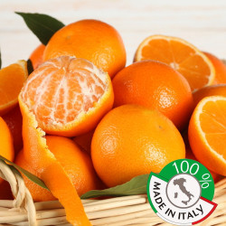sale online Liquor of Orange of Sicily bottle of 50cl