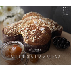 Don Nino Sicilian Artisan Easter dove cake - Apricot and Black Cherry