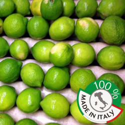 limoncello di sicilia made in italy handmade