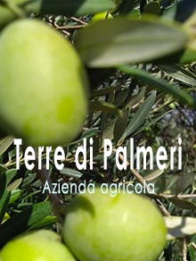 Terre di Palmeri