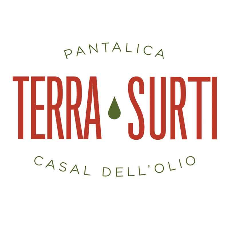 Terra Surti