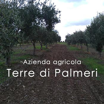 TERRE DI PALMERI